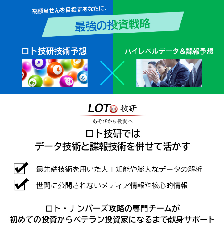 ロト技研 澤入佳江 投資戦略