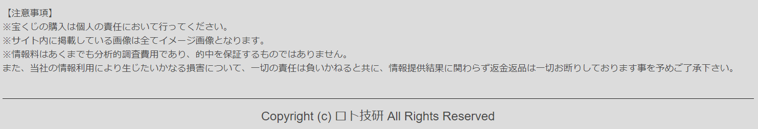 ロト技研 澤入佳江 注意事項